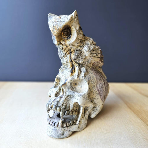 Picture Jasper Owl Skull | The Twilight Guardian