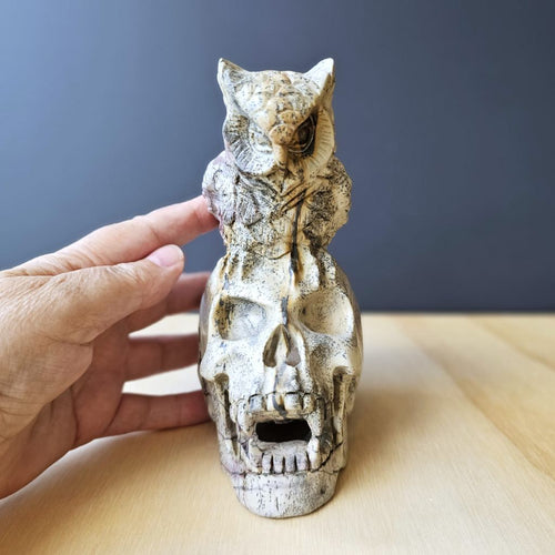 Picture Jasper Owl Skull | The Twilight Guardian