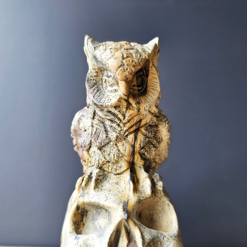 Picture Jasper Owl Skull | The Twilight Guardian