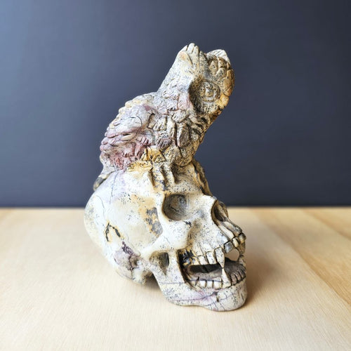 Picture Jasper Owl Skull | The Twilight Guardian