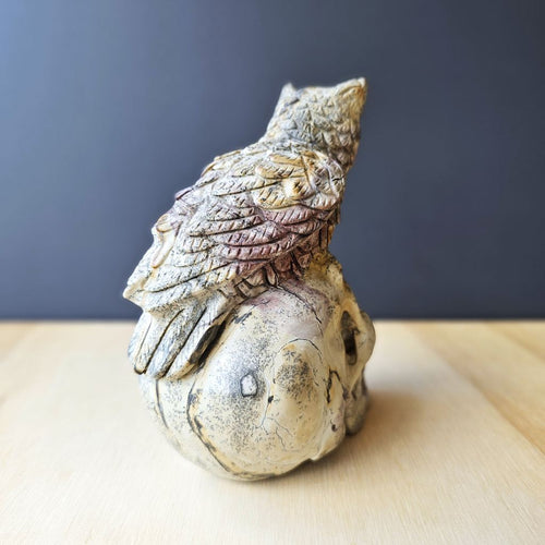 Picture Jasper Owl Skull | The Twilight Guardian
