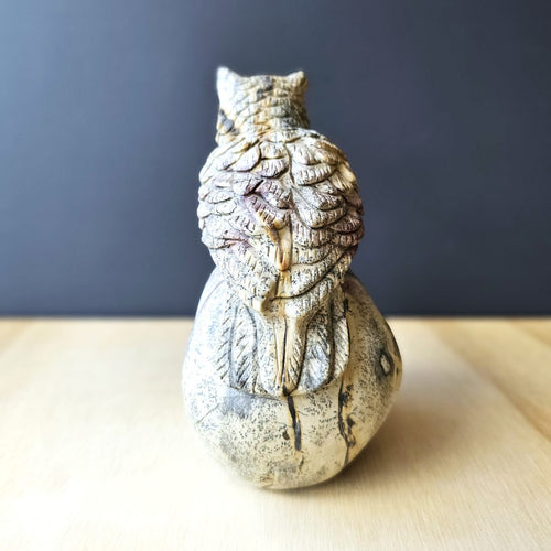 Picture Jasper Owl Skull | The Twilight Guardian