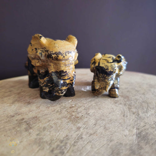 Picture Jasper | Elephant Pair 239gms