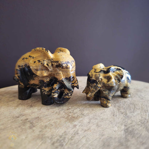 Picture Jasper | Elephant Pair 239gms