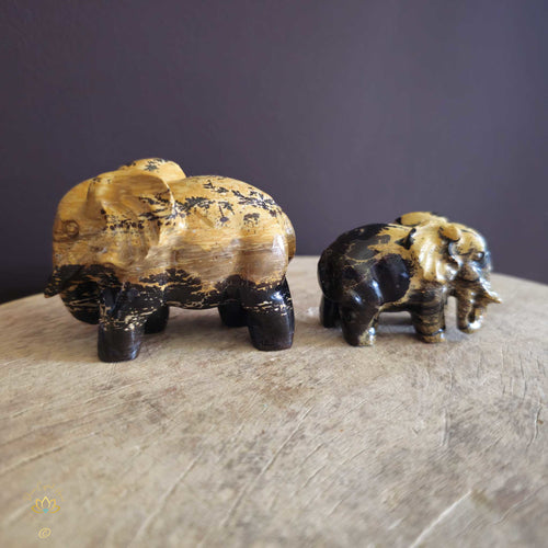 Picture Jasper | Elephant Pair 239gms