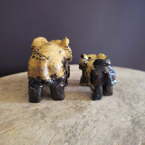 Picture Jasper | Elephant Pair 239gms