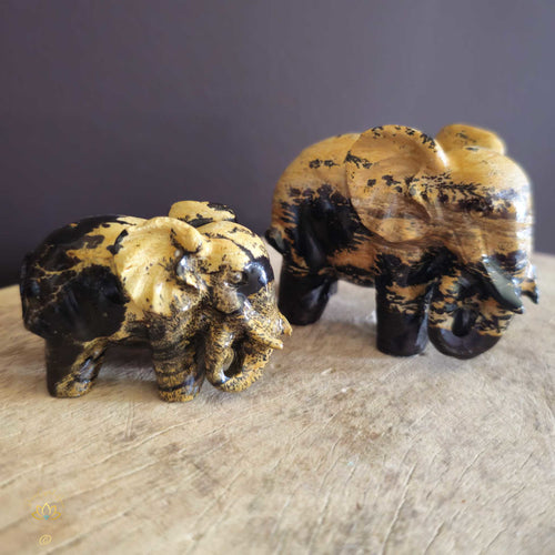 Picture Jasper | Elephant Pair 239gms