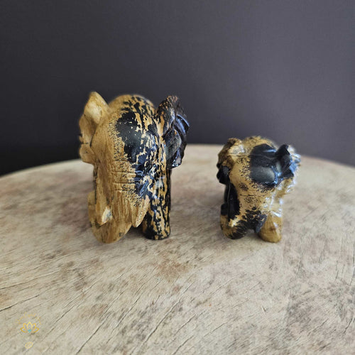 Picture Jasper | Elephant Pair 256gms