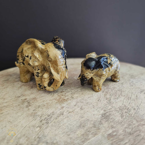 Picture Jasper | Elephant Pair 256gms