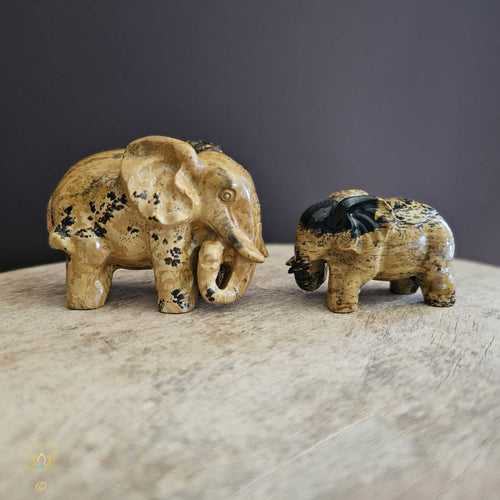 Picture Jasper | Elephant Pair 256gms