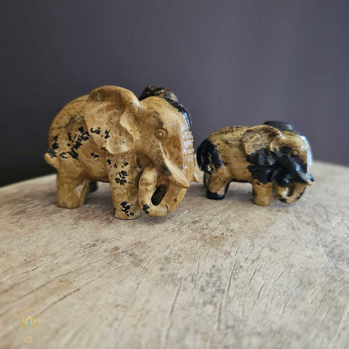 Picture Jasper | Elephant Pair 256gms