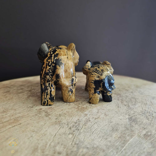 Picture Jasper | Elephant Pair 256gms