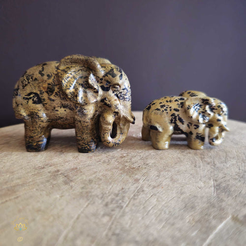 Picture Jasper | Elephant Pair 274gms