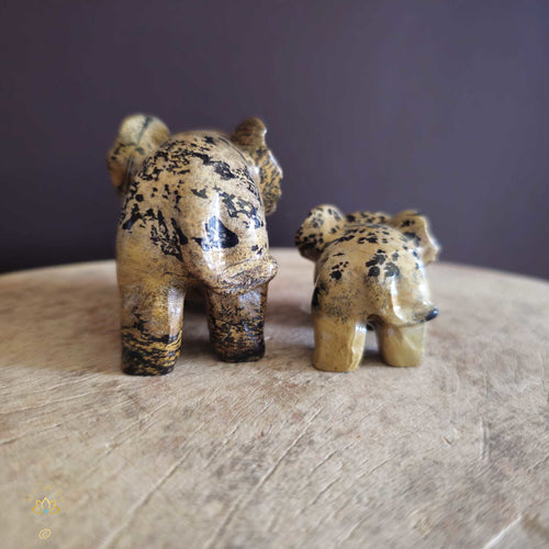 Picture Jasper | Elephant Pair 274gms