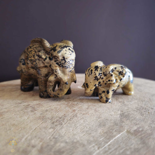 Picture Jasper | Elephant Pair 274gms