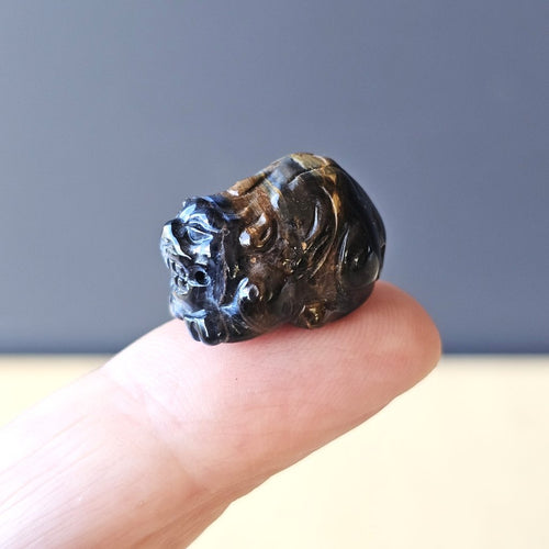 Pietersite Pixiu | Guardian Of Shifting Truths