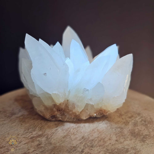 Pineapple Calcite | Specimen 1.56kgs