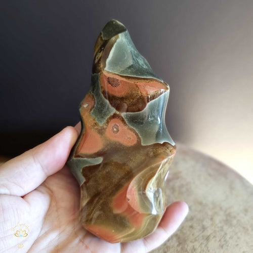 Polychrome Jasper | Flame 551gms