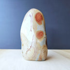 Polychrome Jasper Freeform | 1.7kg