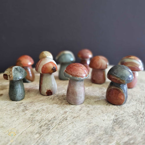 Polychrome Jasper Small Mushrooms