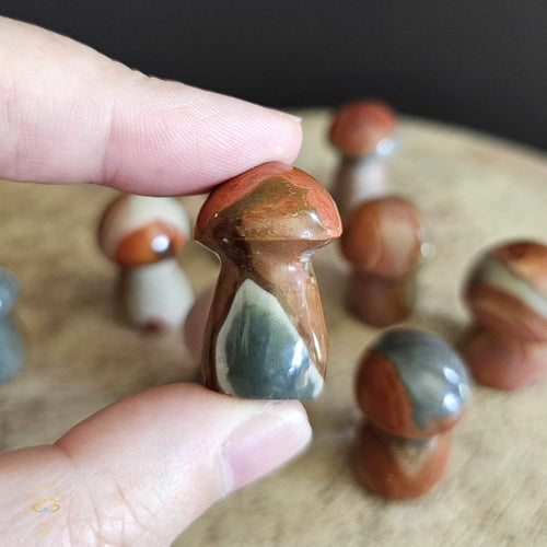 Polychrome Jasper Small Mushrooms