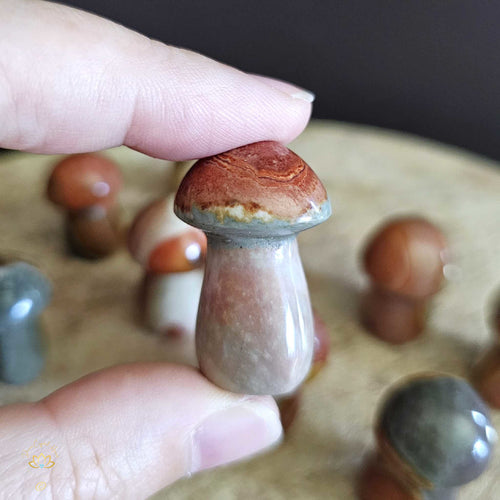 Polychrome Jasper Small Mushrooms