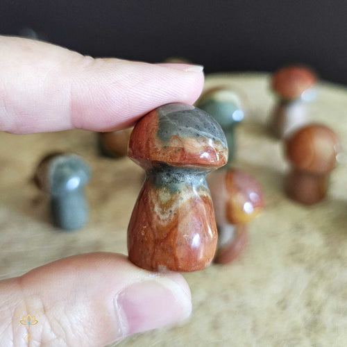 Polychrome Jasper Small Mushrooms