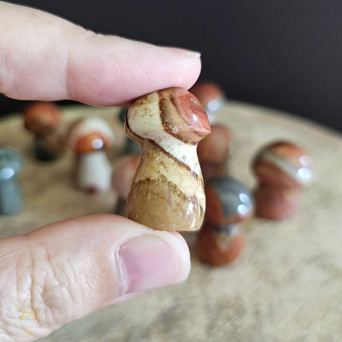 Polychrome Jasper Small Mushrooms