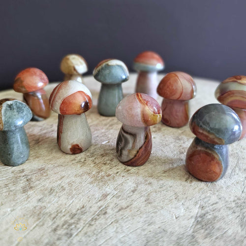 Polychrome Jasper Small Mushrooms