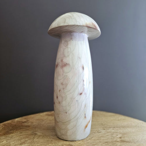 Polychrome Jasper | Super Size Mushroom 3kgs