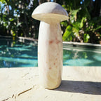 Polychrome Jasper Mushroom | Super Size 3kgs