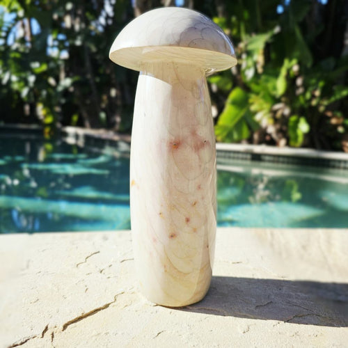 Polychrome Jasper Mushroom | Super Size 3kgs