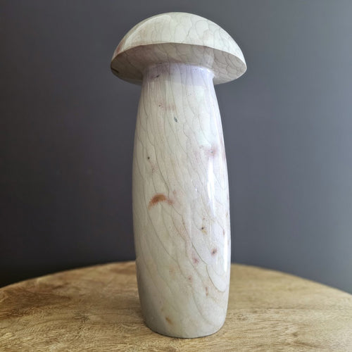 Polychrome Jasper | Super Size Mushroom 3kgs