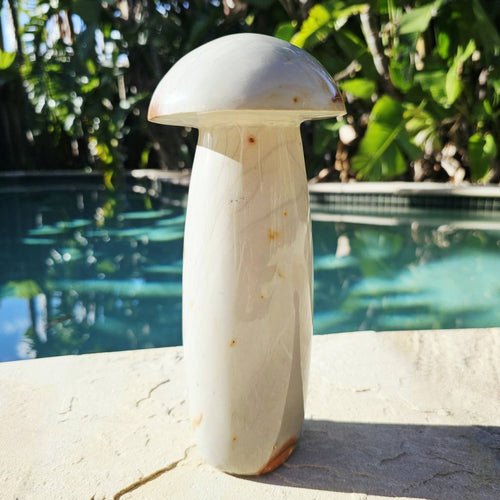 Polychrome Jasper Mushroom | Super Size 3kgs