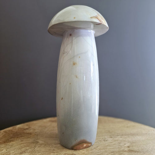 Polychrome Jasper | Super Size Mushroom 3kgs