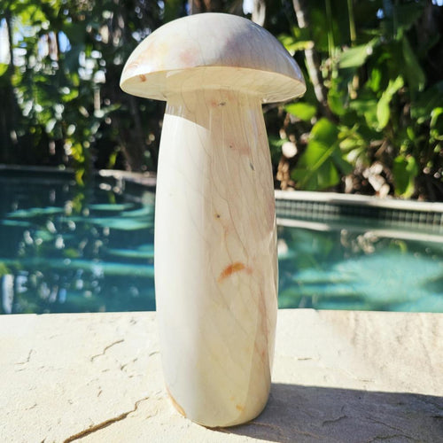 Polychrome Jasper Mushroom | Super Size 3kgs