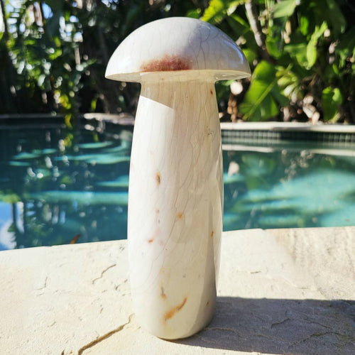 Polychrome Jasper Mushroom | Super Size 3kgs