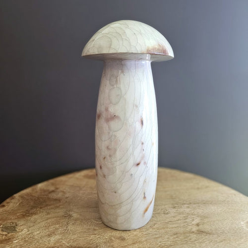 Polychrome Jasper | Super Size Mushroom 3kgs