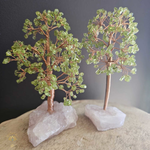 Prehnite Crystal Tree | Illumination