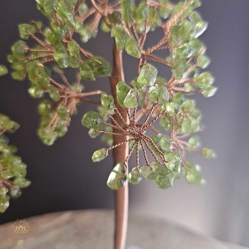 Prehnite Crystal Tree | Illumination