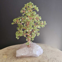 Prehnite Crystal Tree | Illumination