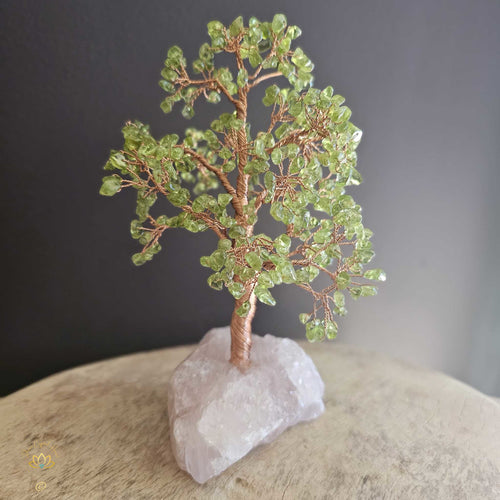 Prehnite Crystal Tree | Illumination