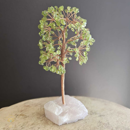 Prehnite Crystal Tree | Illumination