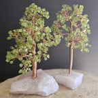 Prehnite Crystal Tree | Illumination