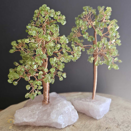 Prehnite Crystal Tree | Illumination