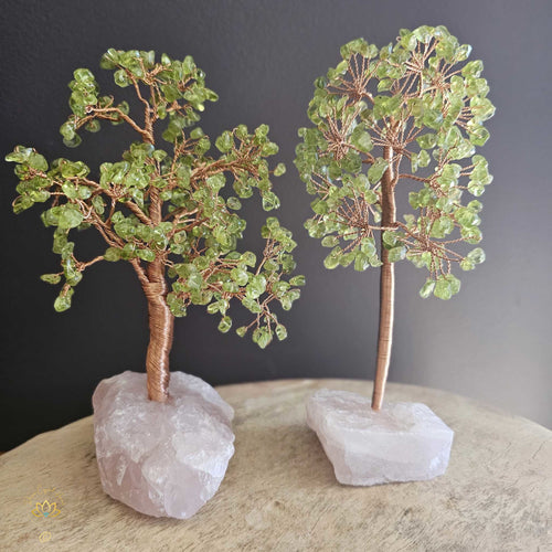 Prehnite Crystal Tree | Illumination