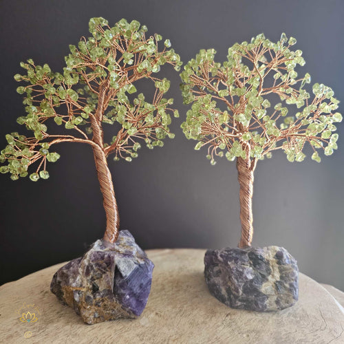 Prehnite Crystal Tree | Perspective & Illumination