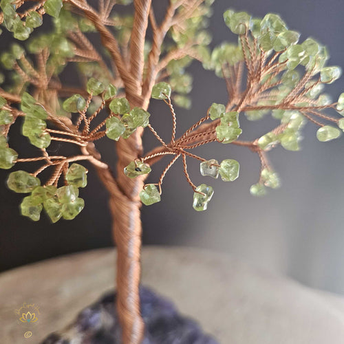 Prehnite Crystal Tree | Perspective & Illumination