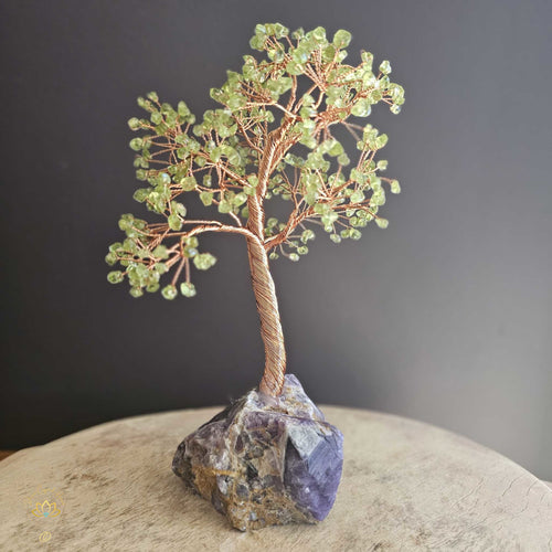 Prehnite Crystal Tree | Perspective & Illumination