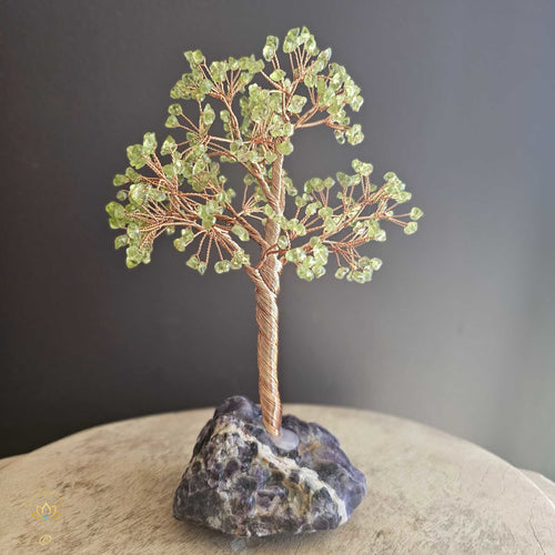 Prehnite Crystal Tree | Perspective & Illumination